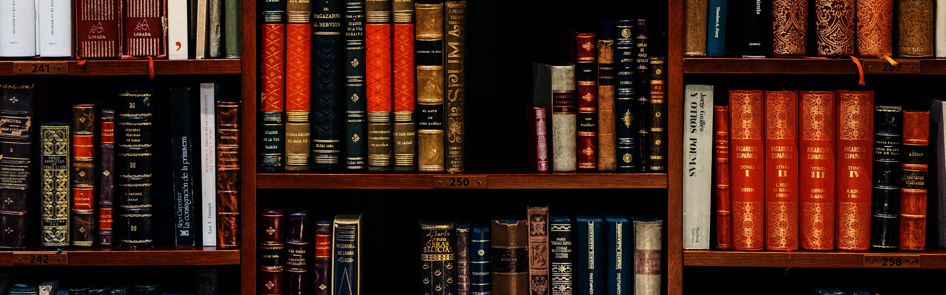 ������Ѷ