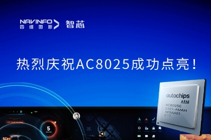 ��������SoCоƬ